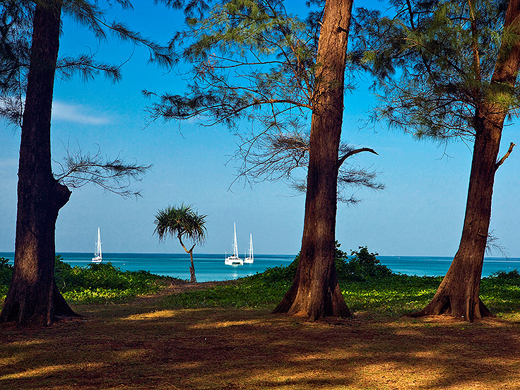 Image / Phuket Sightseeing Guide / Nai Yang Beach #1 