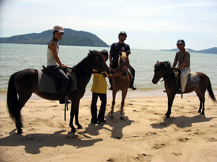 Image / Phuket Sightseeing / Horse Riding #1