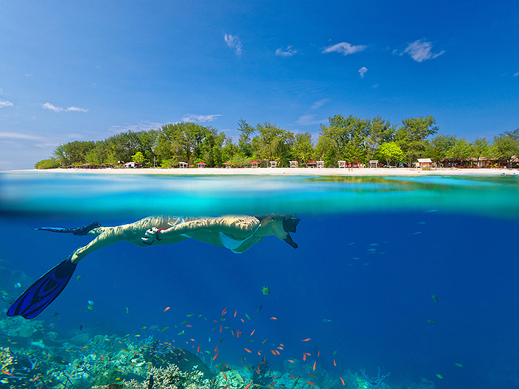 Image / Phuket Sightseeing / Snorkeling #1