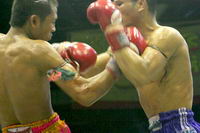 Image / Phuket Sightseeing / Thai Boxing - Muay Thai