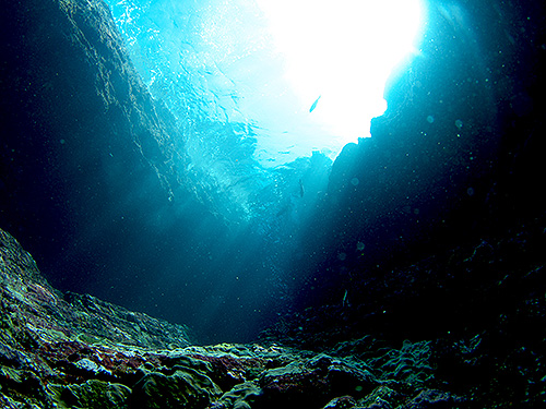 Image / Phi Phi / Turtle Rock