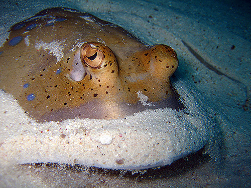 Image/Racha Yai Island/Bay Three