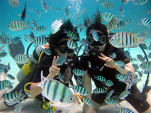 イメージ／体験ダイビングをしよう！