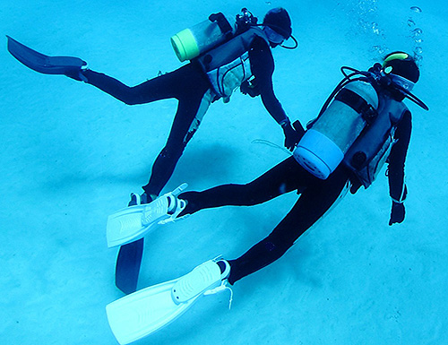 イメージ／ファンダイビングをしよう！