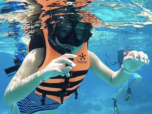 イメージ／シュノーケリングツアー