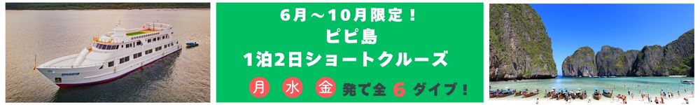 Image / Limited to June-October! Phi Phi Island 1 Night 2 Days Short Cruise!