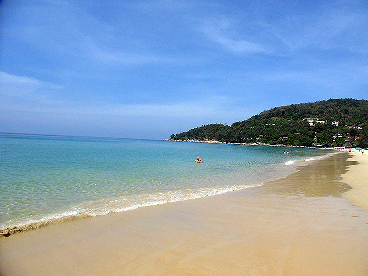 Image / Phuket Seasons / Elephant