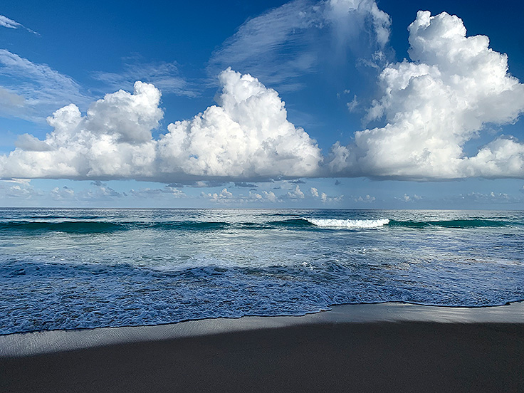 Image / Phuket Seasons / Greenery