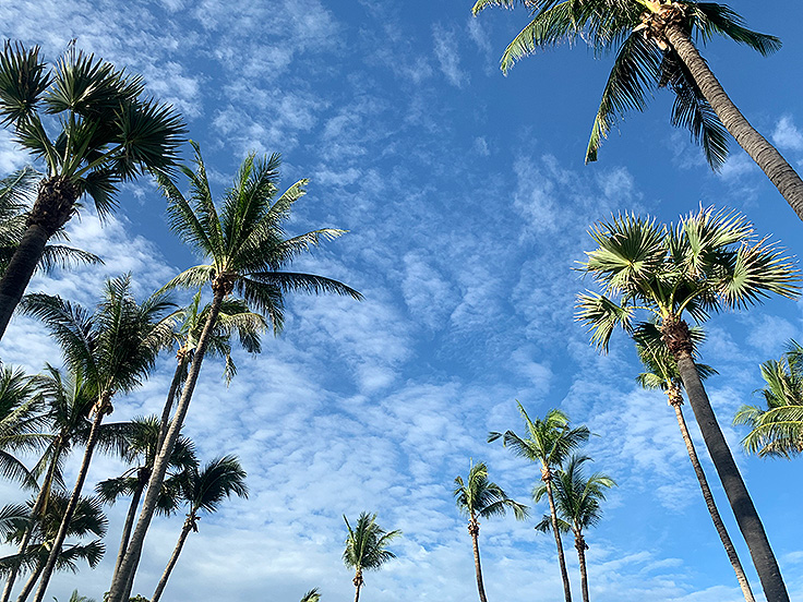 Image / Phuket Seasons / Beach