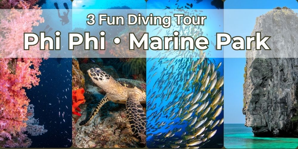 Phi Phi Islands Diving