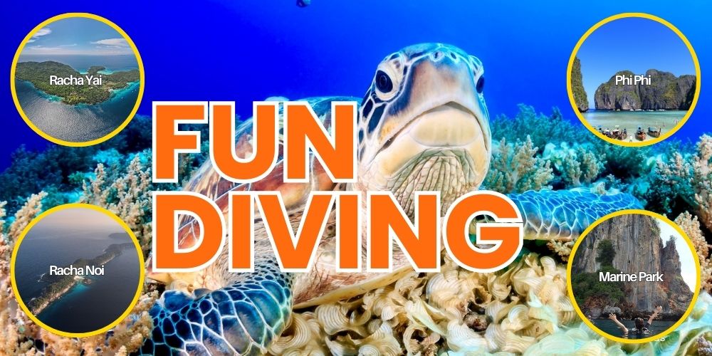 Image / Fun Diving