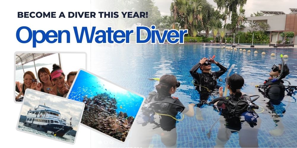 Image / Scuba Diving License Course