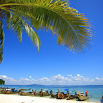 Coconut trees and beach
