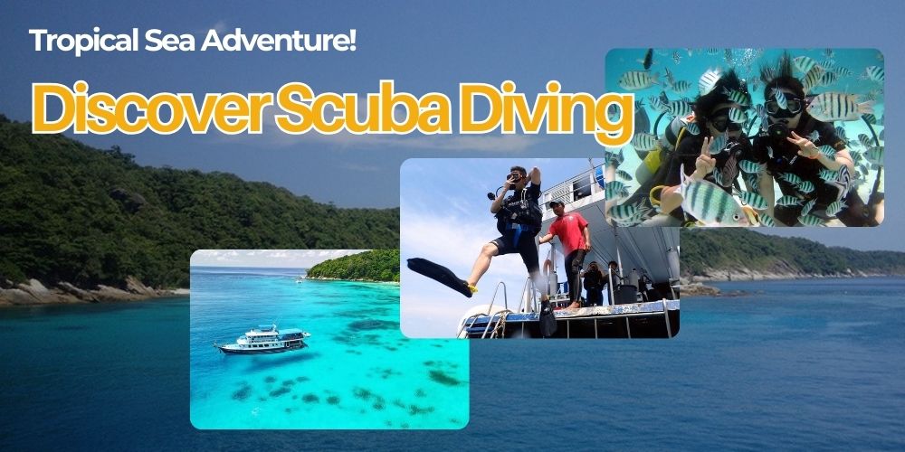 Beginner Diving Experience