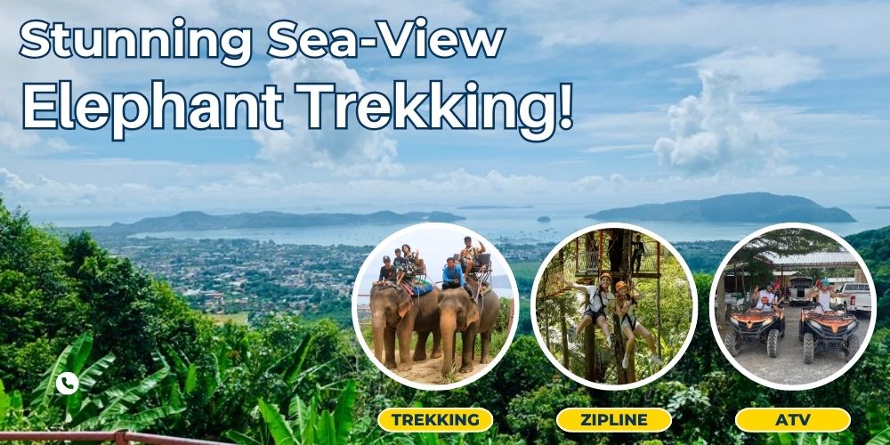 Elephant Trekking Tour