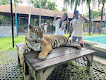 tiger_park_8