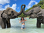 elephant-swim-11